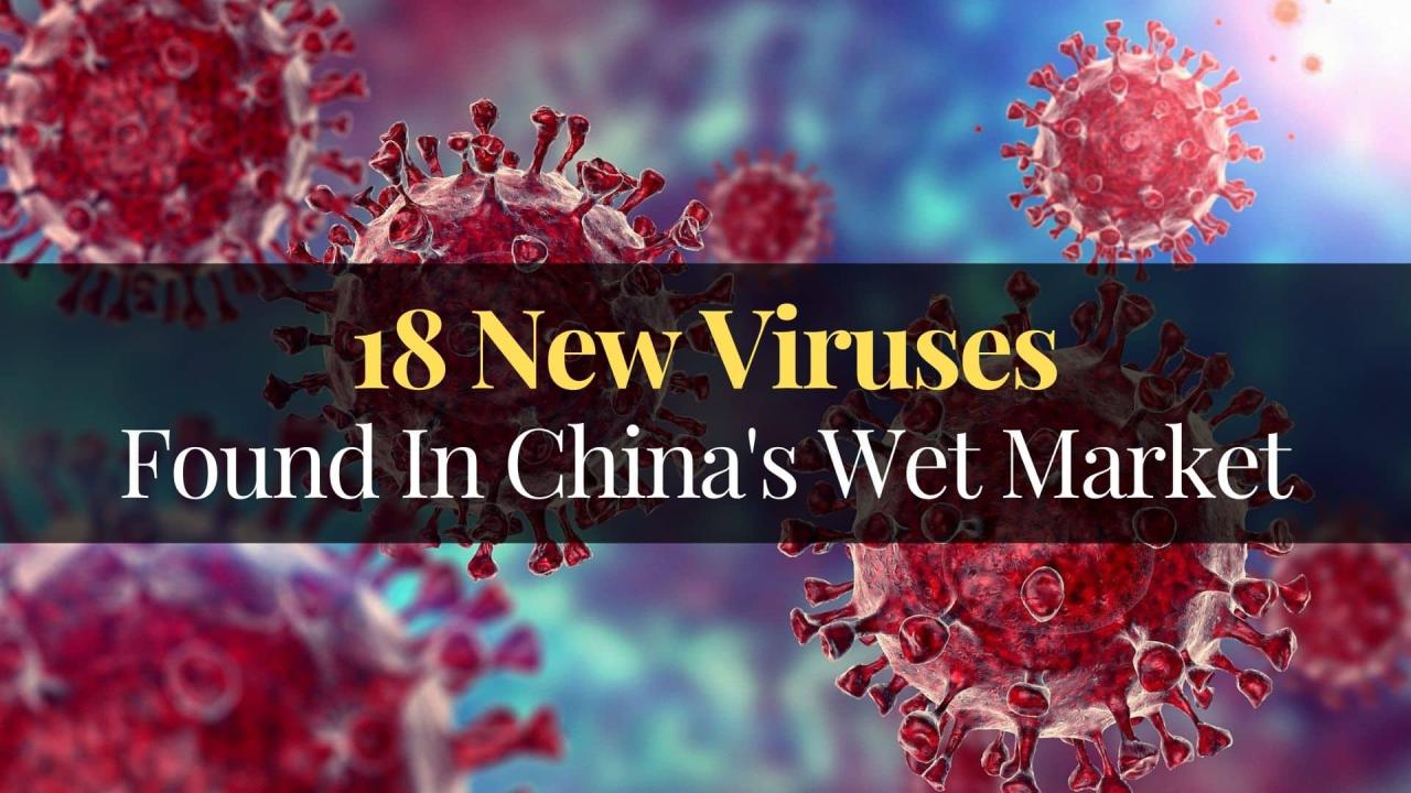 What is HMVP virus, Chinas recent 'Covid-like outbreak', should